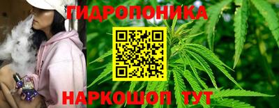 ECSTASY Ноябрьск