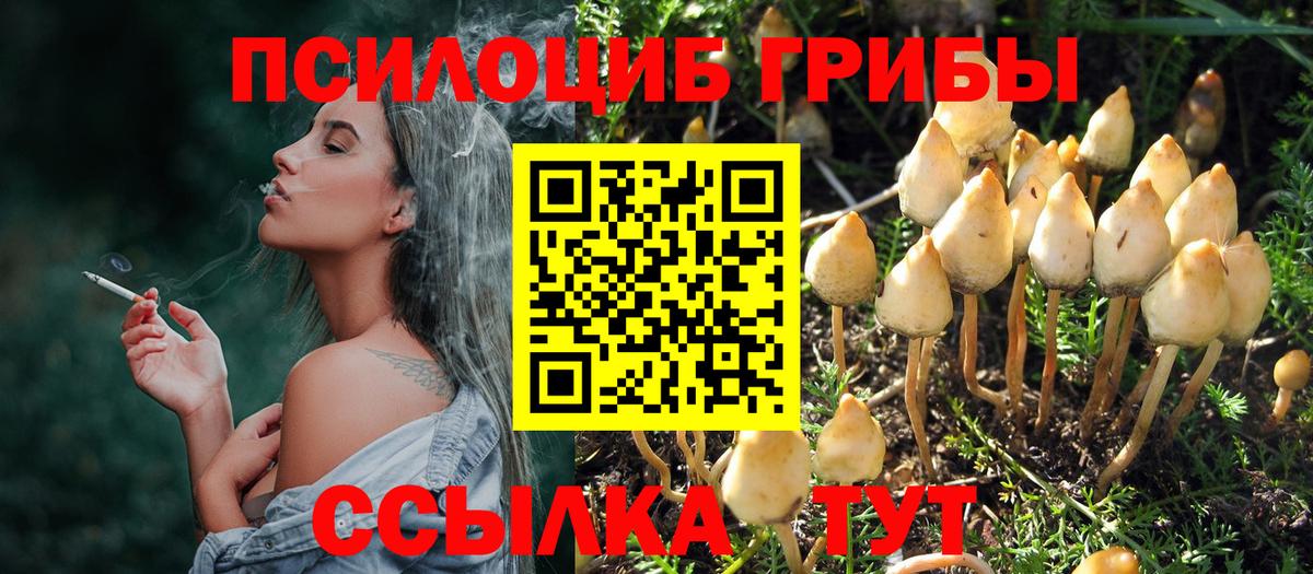 Галлюциногенные грибы Psilocybe  Галлюциногенные грибы ЛСД  Кохма  Вход с VPN 