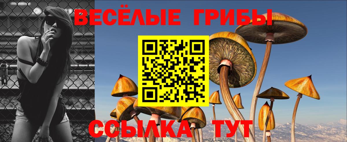 Галлюциногенные грибы Cubensis Кохма